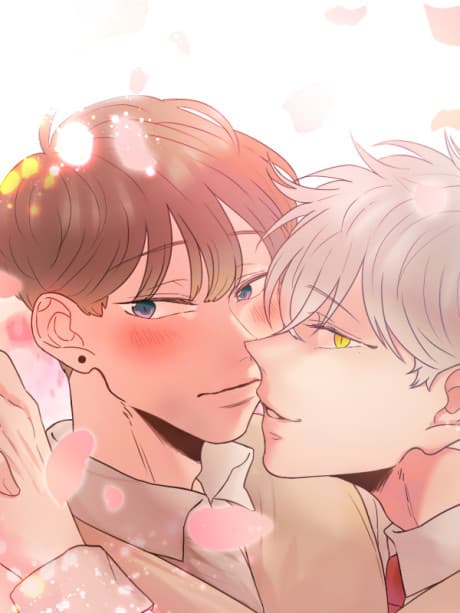 Voice of Love cover
