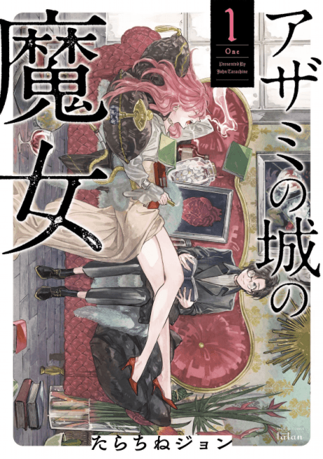 Witch of Thistle Castle cover