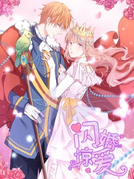 Romance of Flash Wedding cover
