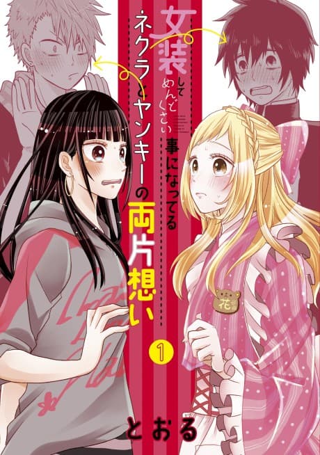 Crossplay Love: Otaku x Punk cover