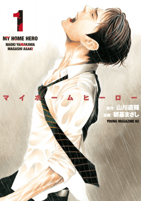 My Home Hero cover