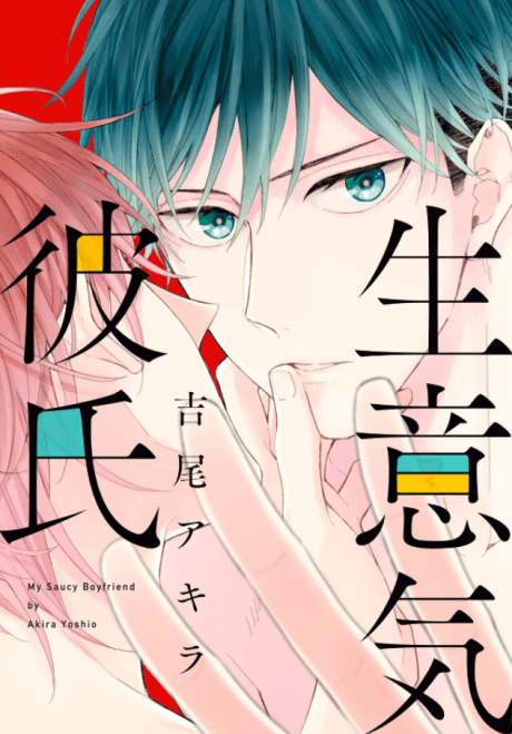 Namaiki Kareshi cover