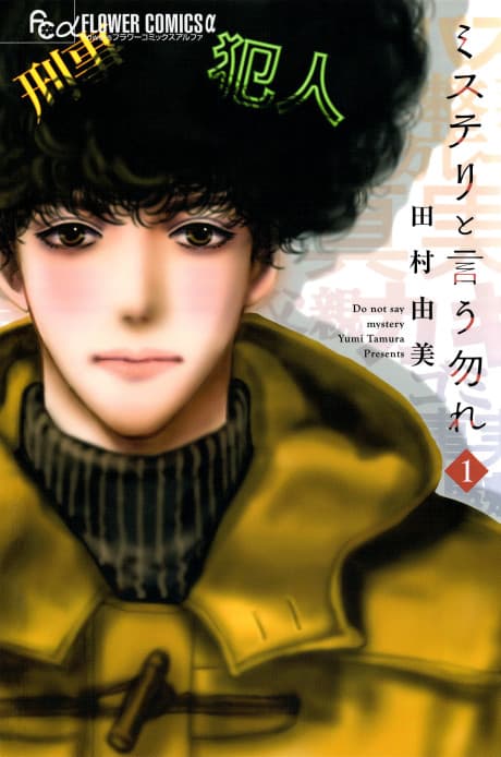 Don't Call it Mystery cover