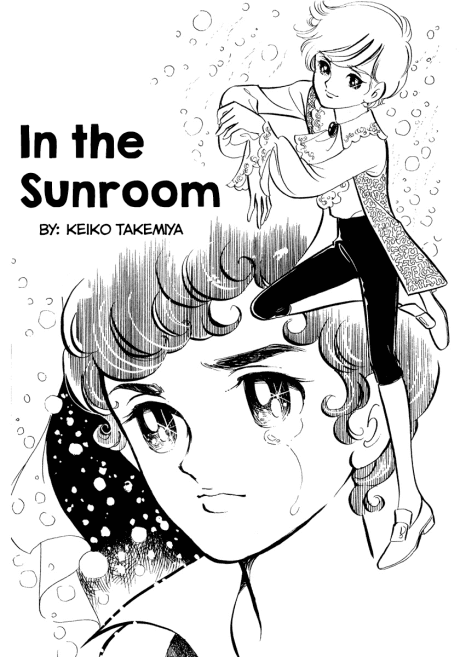 Sunroom nite cover