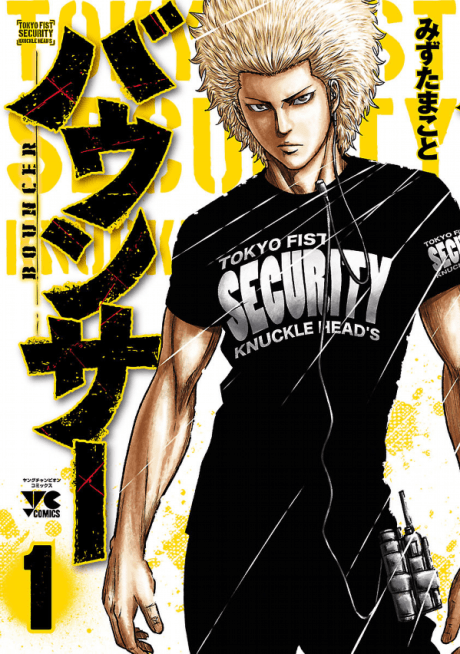 Bouncer cover
