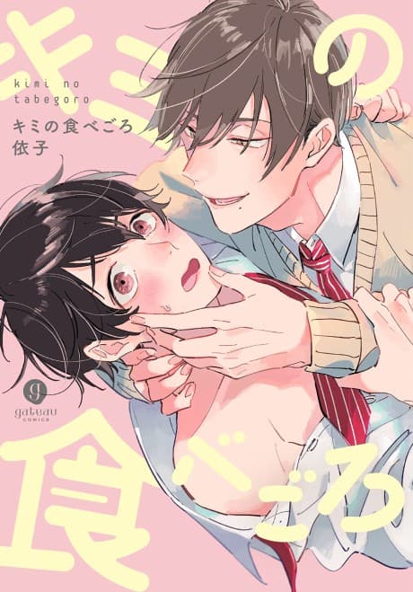 Kimi no Tabegoro cover