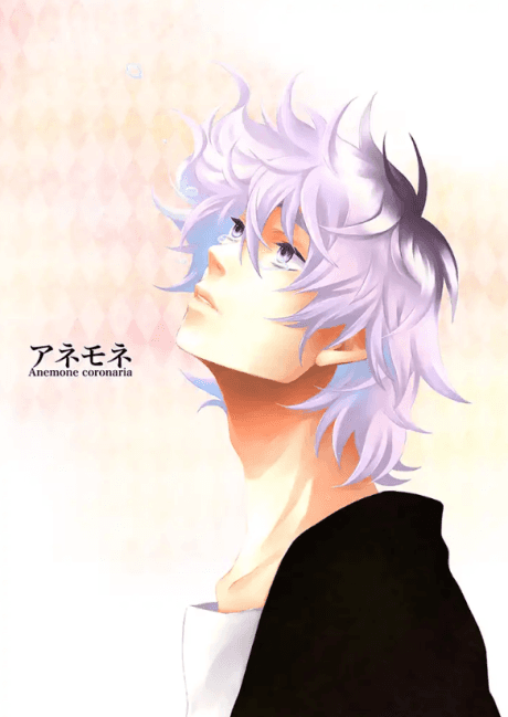 Anemone cover