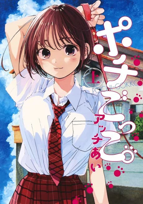 Pochi Gokko. cover