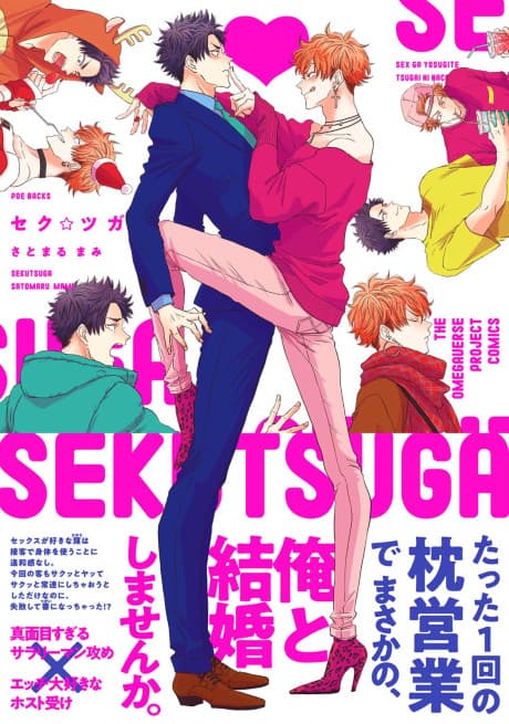 Seku☆Tsuga cover