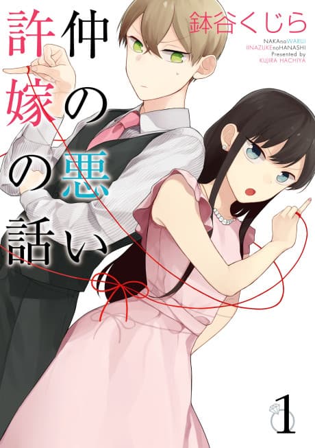 Naka no Warui Iinazuke no Hanashi cover