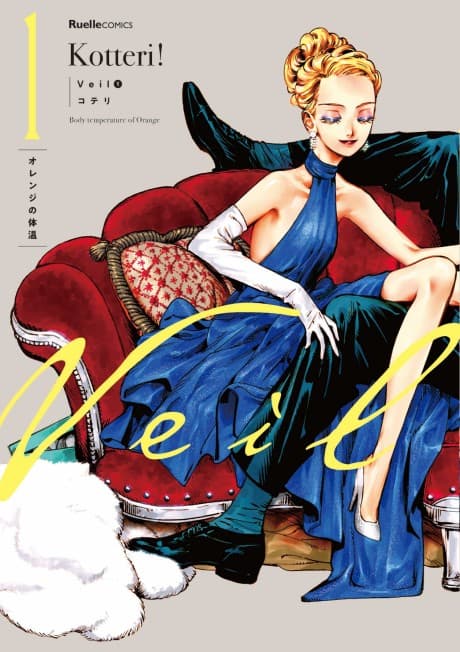 Veil cover