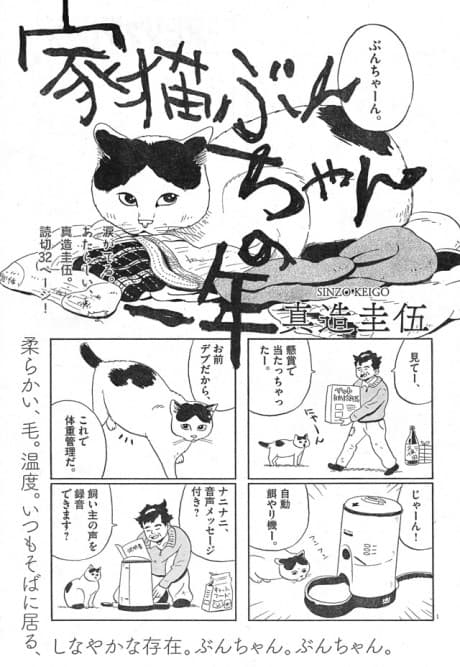 Ieneko Bun-chan no Ichinen cover