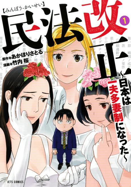 Minpou Kaisei: Nippon wa Ipputasaisei ni Natta cover