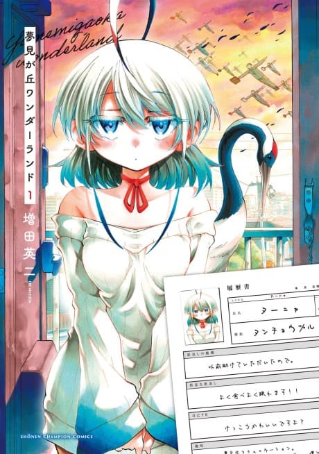 Yumemi ga Oka Wonderland cover