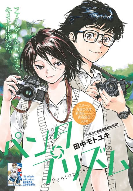 Pentaprism  cover