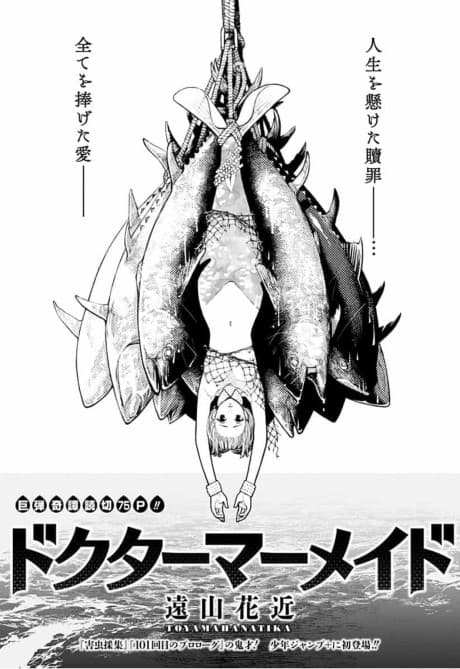 Doctor Mermaid  cover
