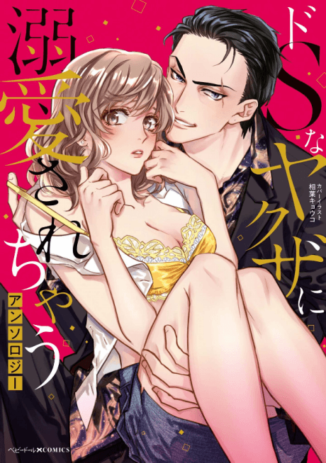 Do S na Yakuza ni Dekiai Sarechau Anthology cover