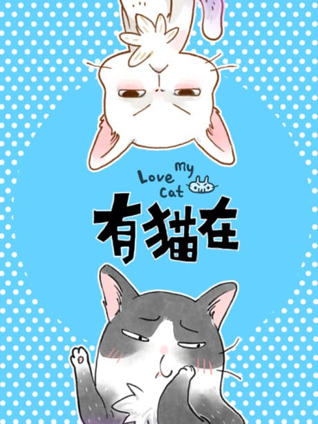 You Mao Zai cover