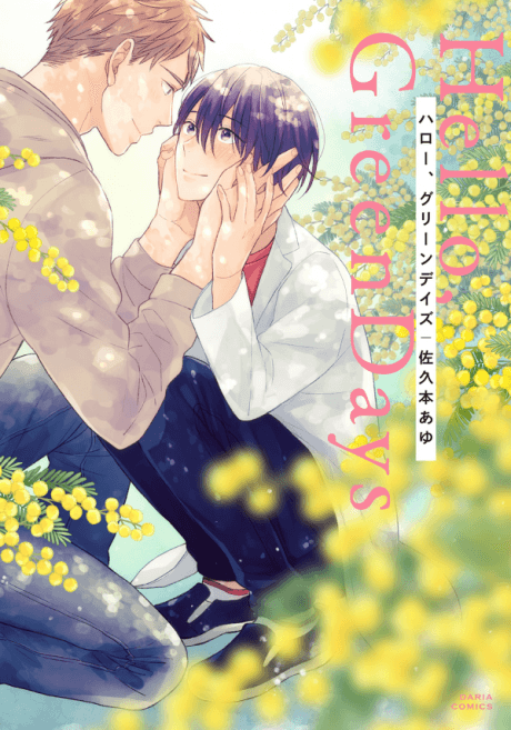 Hello, Green Days cover