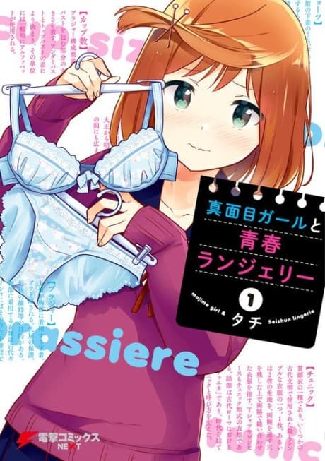 Majime Girl to Seishun Lingerie cover
