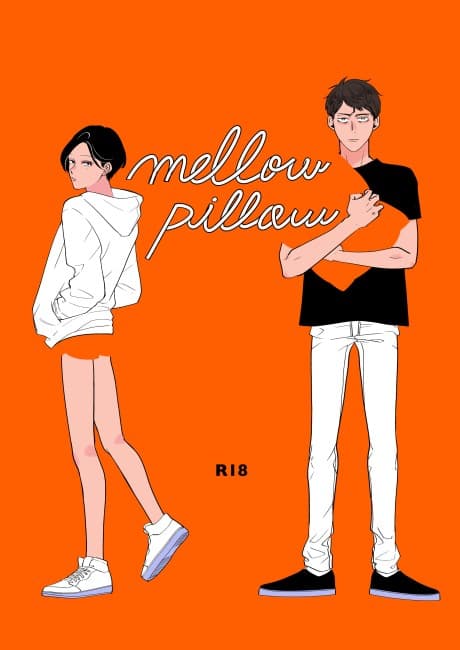 mellow pillow cover