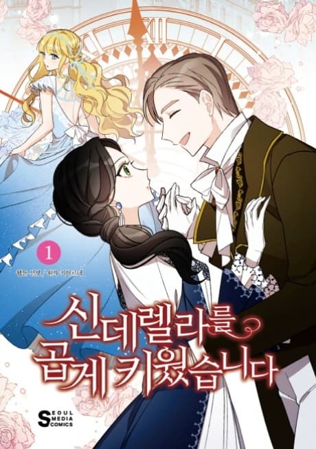 A Wicked Tale of Cinderella's Stepmom cover