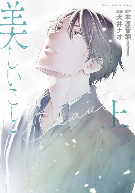 Beautiful Things: The Complete Manga Collection cover
