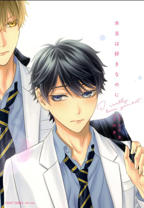 Hontou wa Suki na no ni cover