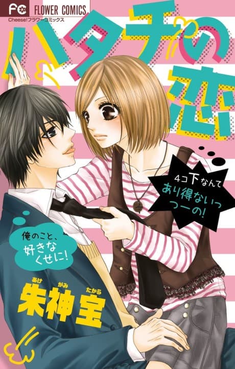Hatachi no Koi cover