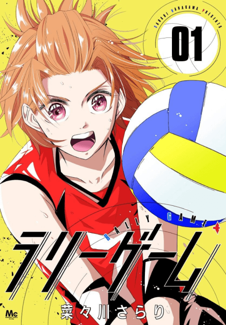 Rally Game! cover