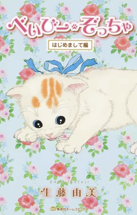 Baby Zoccha cover