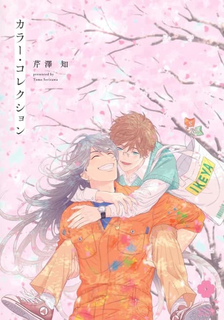 Color Collection cover