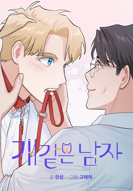Man's Best Boyfriend cover