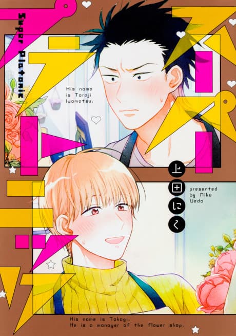 Super Platonic cover