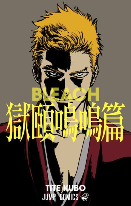Bleach: Special One-Shot cover