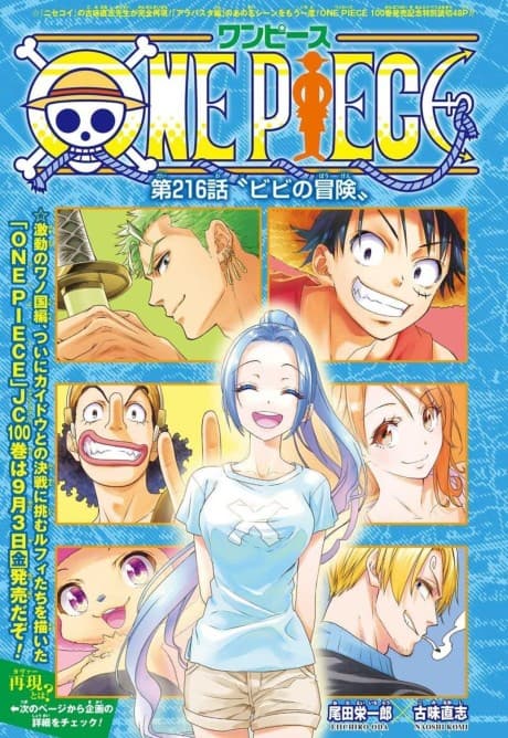 One Piece: Naoshi Komi Covers Vivi's Adventure cover