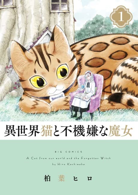 A Cat From Our World and the Forgotten Witch cover