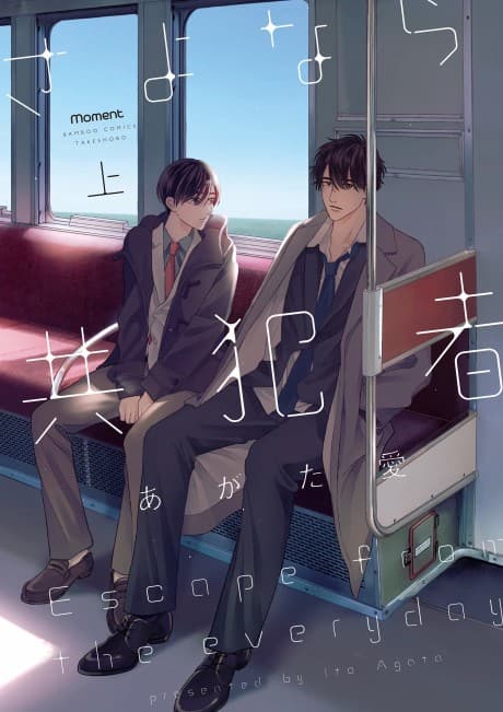 Goodbye My Accomplice cover