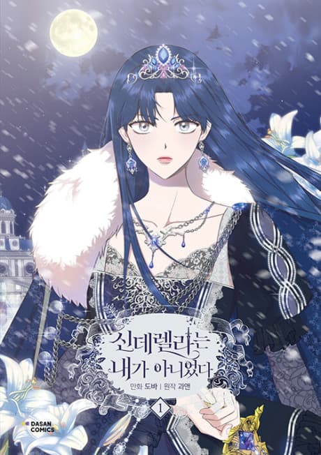 I Wasn't the Cinderella cover