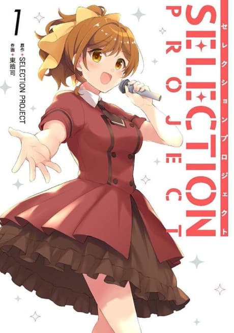 SELECTION PROJECT cover