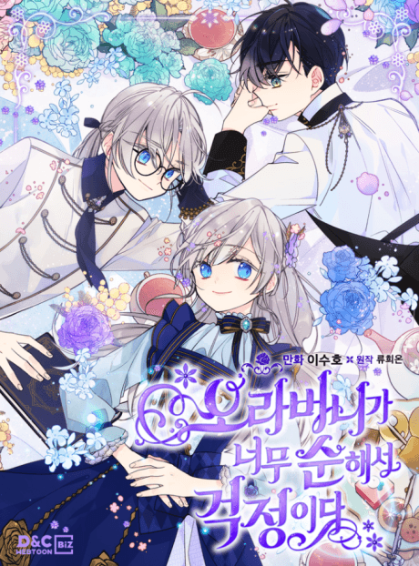 Don't Hire My Brother, Your Highness! cover
