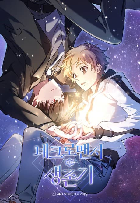 Necromancer Survival cover