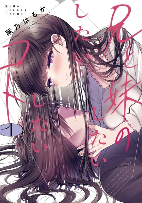 Ani to Imouto no Shitai Shitai Shitai Koto cover