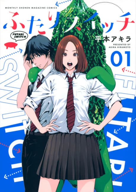 Futari Switch cover
