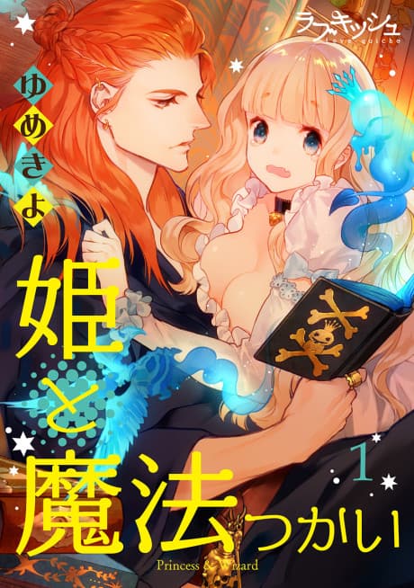 The Princess & The Wizard cover