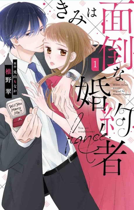 My Troublesome Fiancée cover