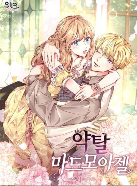 Stealing the Lady's Heart cover