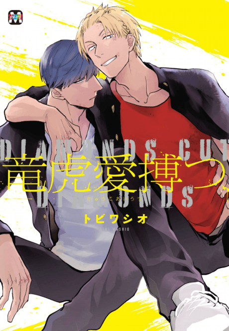 Ryuuku Aiutsu cover