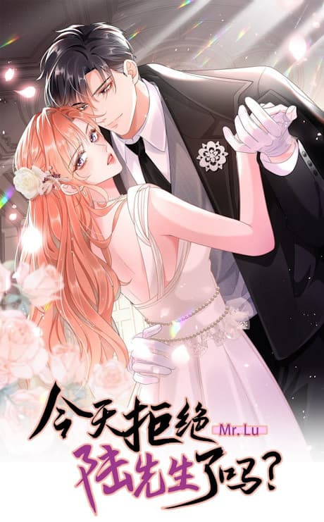 Did You Reject Mr. Lu Today cover