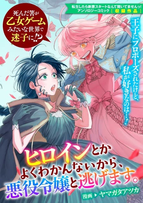 Heroine toka Yoku Wakannai kara, Akuyaku Reijou to Nigemasu. cover
